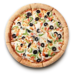 جاردن سبيشال